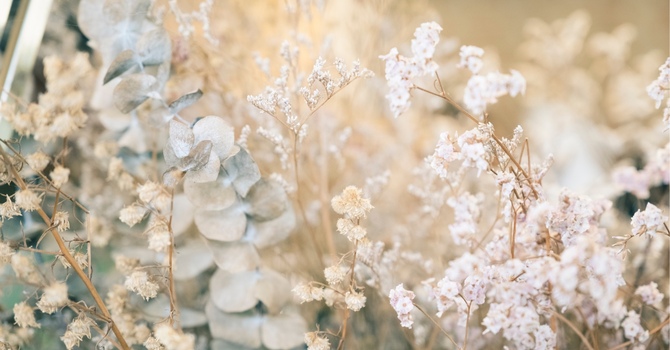 Maternal Psychotherapy